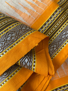 Karvati Kinaar Vidarbha Tussar Handwoven Saree