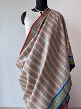 Load image into Gallery viewer, Karvati Kinar Vidarbha Tussar Checks Saree