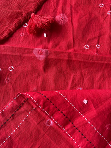 Kota Doria Appliqué Details Saree