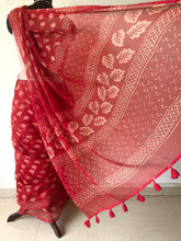 Load image into Gallery viewer, Kota Doria Appliqué Details Saree