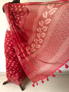 Kota Doria Appliqué Details Saree