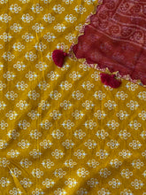 Load image into Gallery viewer, Kota Doria Appliqué Details Saree
