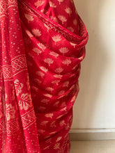 Load image into Gallery viewer, Kota Doria Appliqué Details Saree