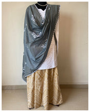 Load image into Gallery viewer, Appliqué Silk Cotton Dupattas