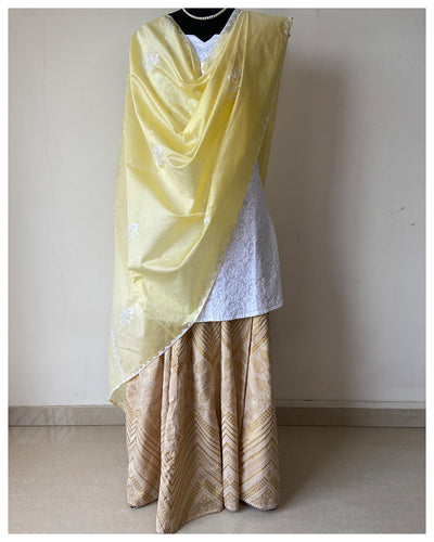 Appliqué Silk Cotton Dupatta